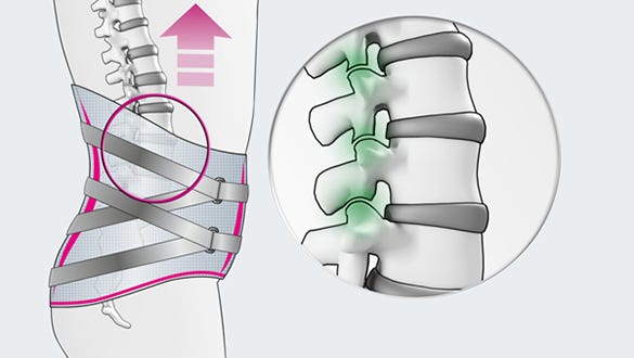 Facet joints – the joints between the vertebrae