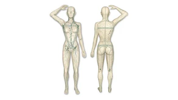 Graphic depiciton of the human lymphatic  sytsem from head to toe forward looking and backwards