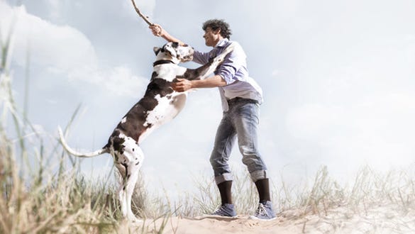 Men showcasing his compression stockings while he plays with his huge dog