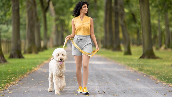 Woman going on a relaxed autumn walk with her dog through a green park 
